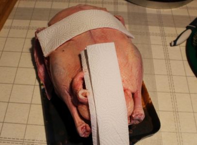 schamhafte-gans-nackt
