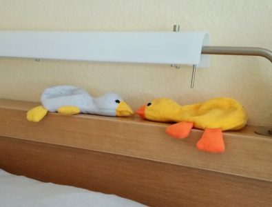 Meine Entchen