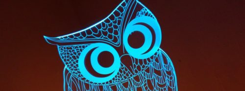 3D Eule - Banner