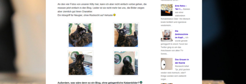 Eine Galerie oder: die lieben Bilder und die Übersicht im Blog