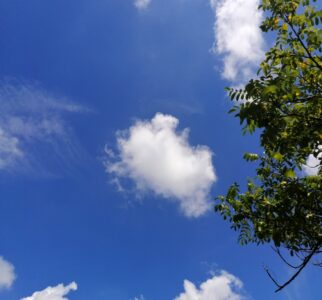 blauer-himmel-mit-ast-und-wolken