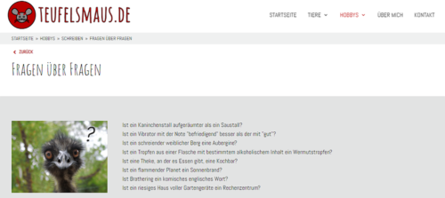 Fragen über Fragen