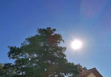 Sommersonne 2020