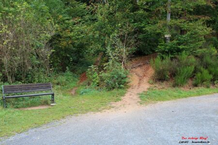 Der richtige Weg?