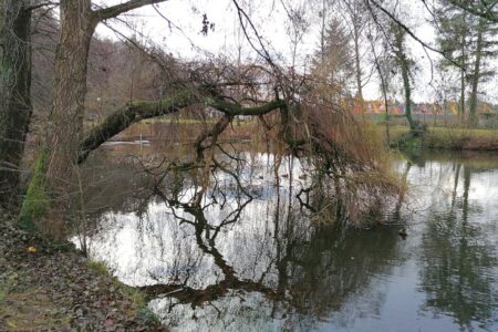 lieblingsplatz-im--dezember