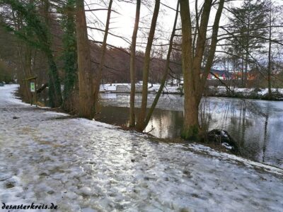 Der Weiher im Winter