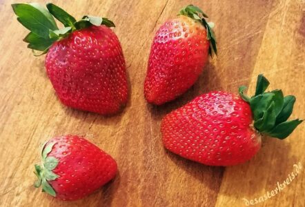 Frühling & Erdbeeren
