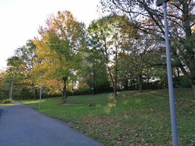 herbst21