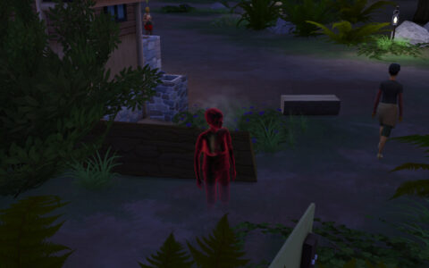 sims4x