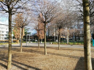 campus-im-dezember