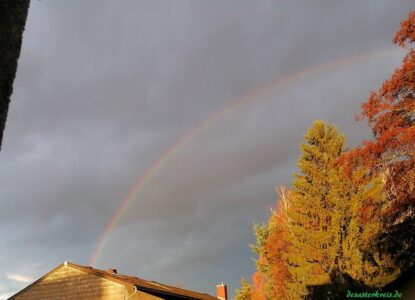 rainbow-window
