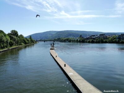 Blick vom Wieblinger Wehr