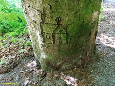 haus_am_baum