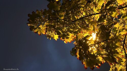 Lichter im Herbst