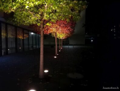 Herbst auf dem Campus