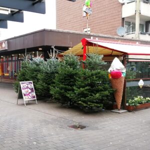 Weihnachtsüberbleibsel in Walsum?