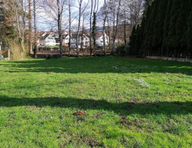 Garten 02 2023