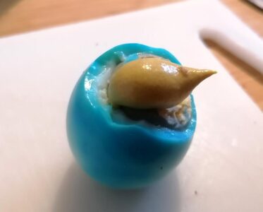 Einfach ein Ei in Blau mit Senf