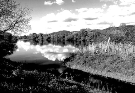 Am Neckar, farblos