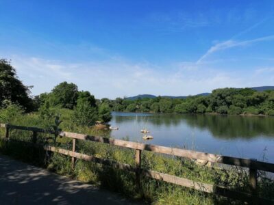 Endspurt am Neckar