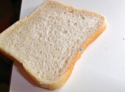 Infizierter Toast