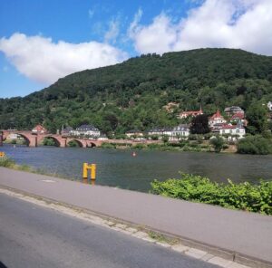 Der Neckar in Heidelberg