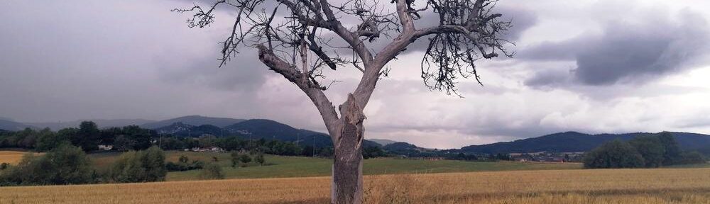 Der Baum der Einsamkeit