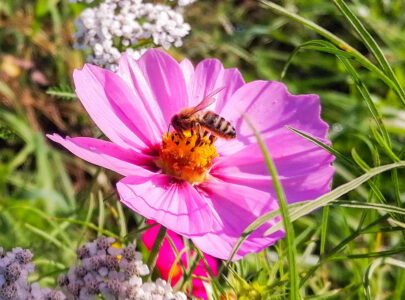 Momente im Bild: Noch bei der Arbeit