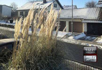 Momente im Bild: Es ist winterlich!