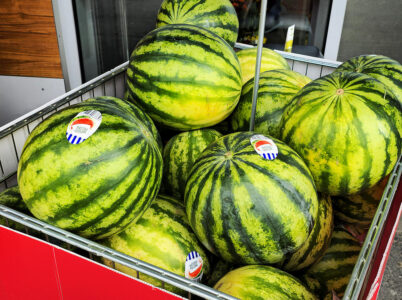 Dicke Melonen für's Internet
