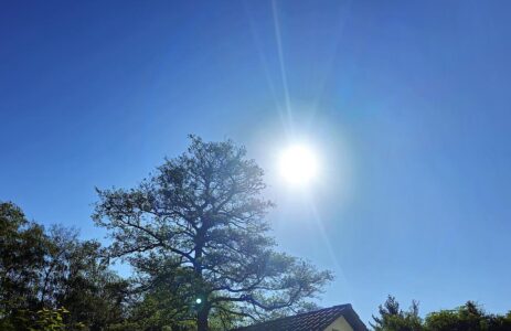 Einen sonnigen Feiertag wünsche ich!