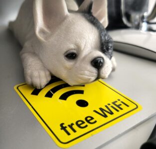 Momente im Bild: Free WiFi