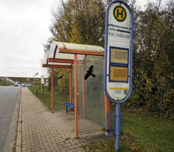 Halt' doch mal an! ;-)