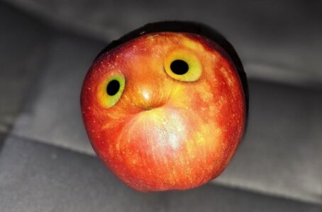Ein bisschen Obst, die passende Idee, dazu eine Portion KI und wirre Gedanken im Kopf