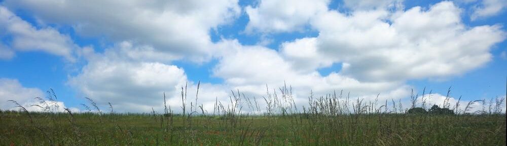 Momente im Bild: Wolken am Horizont
