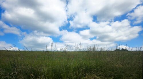 Momente im Bild: Wolken am Horizont