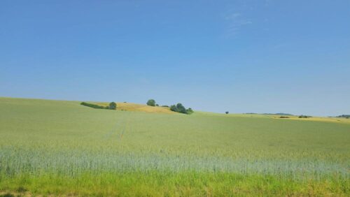 Tag der Naturfotografie