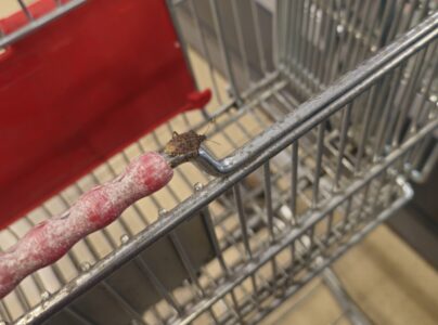 Nicht direkt Hilfe beim Einkaufen