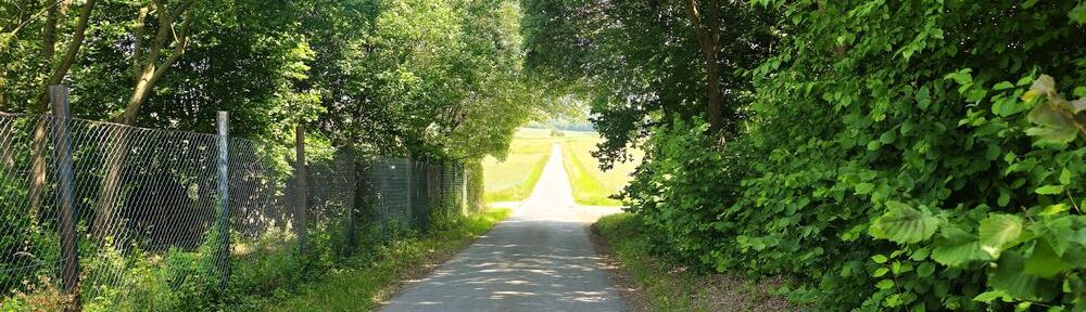 Momente im Bild: Wege