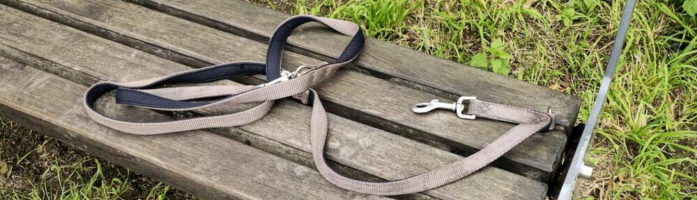 Hunde bitte (nicht) anleinen?