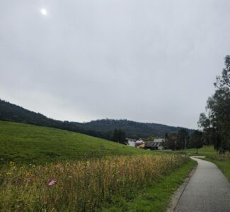 Der Herbst ist da.