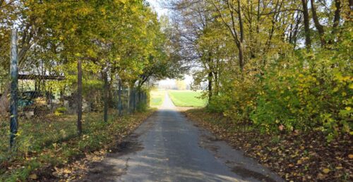 Der gleiche Weg ein paar Monate später, Laub am Boden, goldene Blätter, klare Luft, weniger dichtes Grün – derselbe Ort, nur eben Herbst 2025.