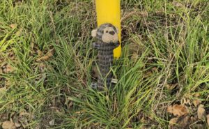 Gefundener Stoffhund in Ober-Ramstadt, schmutzig und nass, angelehnt an einen gelben Pfosten im hohen Gras am Feldrand. Rundherum liegen Blätter und trockenes Gras.