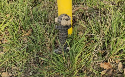Gefundener Stoffhund in Ober-Ramstadt, schmutzig und nass, angelehnt an einen gelben Pfosten im hohen Gras am Feldrand. Rundherum liegen Blätter und trockenes Gras.