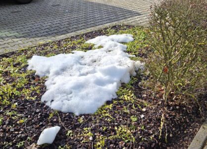 Er gibt nicht auf, der Schnee