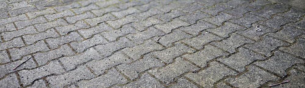 Nasser Pflasterparkplatz mit vielen Regenwürmern bei Regen am frühen Morgen.