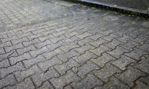 Nasser Pflasterparkplatz mit vielen Regenwürmern bei Regen am frühen Morgen.