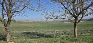 Im März wirkt die Landschaft noch eher wie Wartemodus.