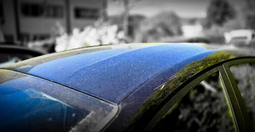 Gelbe Pollen und heller Staub auf dem schwarzen Autodach im Frühlingslicht.