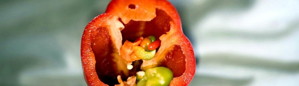 Außen rot, innen offenbar noch in der Findungsphase.